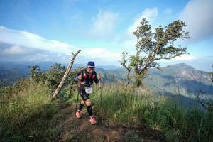 BIB: 
                            <button type="button" onclick="openModal(22437585)" class="btn btn-primary btn-sm float-right btn-popup" data-toggle="modal" data-target=".modal-high-quality">
                        <i class="fas fa-shopping-cart"></i> Add to Cart
                    </button>
                                            <button type="button" onclick="isThisMe(22437585, true)" class="btn btn-success btn-sm float-right btn-popup btn-isme hidden" data-toggle="tooltip" data-placement="bottom" title="นี่คือรูปของคุณใช่ไหม คลิกที่นี่เพื่อเอาเข้าอัลบั้ม">
                        <i class="fas fa-plus"></i> Add to album
                    </button>
                    <button type="button" onclick="isThisMe(22437585, false)" class="btn btn-warning btn-sm float-right btn-popup btn-isnotme hidden">
                        <i class="fas fa-ban"></i> Remove from album
                    </button>